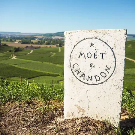 Cosy Luxury Family House & In Champagne *