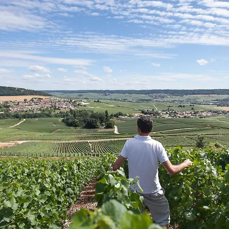 Cosy Luxury Family House & In Champagne Épernay