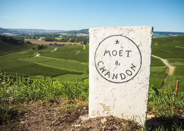 Cosy Luxury Family House & In Champagne *