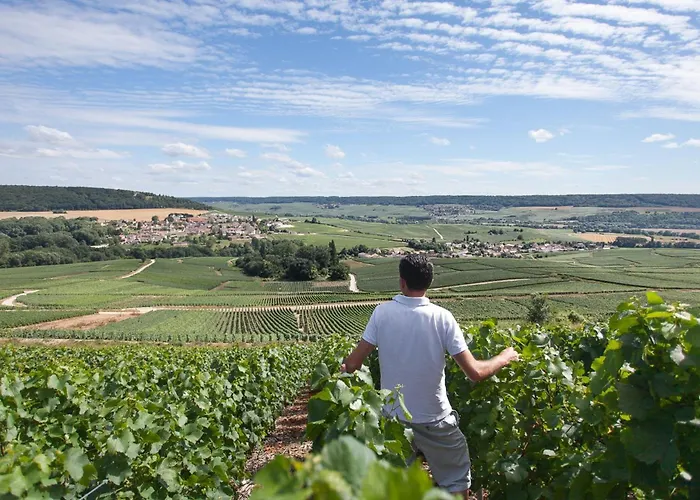 Cosy Luxury Family House & In Champagne Épernay