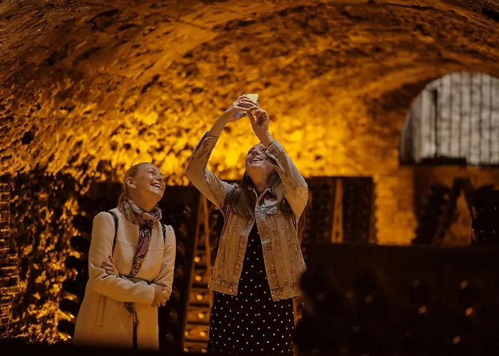 Cosy Luxury Family House & In Champagne * Épernay